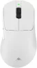 White Shark CAMILLUS WGM-9013, valge