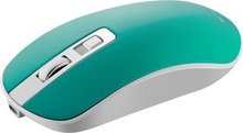 Canyon CNS-CMSW18A