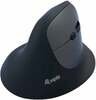 Equip DM, ergonoomiline juhtmevaba hiir, 2.4GHz+BT, 6 nuppu, must
