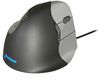 Hiir Evoluent VerticalMouse 4, paremakäeline, USB, hall