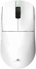 White Shark AURELIAN WGM-9011, valge