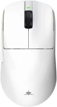 White Shark AURELIAN WGM-9011, valge
