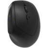 Canyon MW-25 Ergonomic