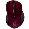 Canyon CNS-CMSW4