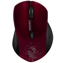 Canyon CNS-CMSW4