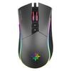 Inca IMG-GT19