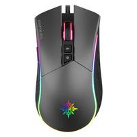 Inca IMG-GT19
