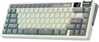 Royal Kludge M70 RGB, 75 prots., Hot-swap, Beige Switches, US