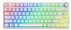 Klaviatuur Savio Phenix, Gateron Yellow Pro, US, valge, pudding
