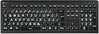 Klaviatuur LogicKeyboard XL-Print Astra 2, valge mustal, DE