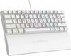 Klaviatuur Rampage PLOWERK60, Blue Switch, valge