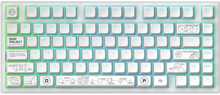 Dark Project ALU81A Terra Nova, G3MS Moonstone Switch, valge, US