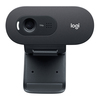 Logitech C505E