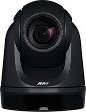 AVerMedia DL30