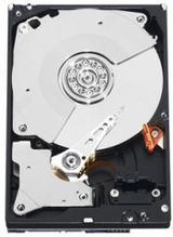 Western Digital Blue WD5000AZLX 500GB