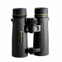 Vanguard Endeavor ED II 1042