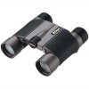 Nikon 10x25 HG L DCF