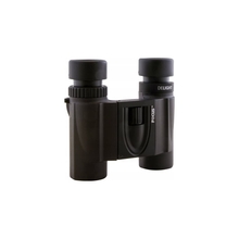 Focus Activa 10x25