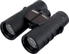 Steiner Safari ULTRASHARP 10X42