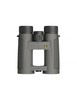 Leupold BX-4 Pro Guide HD 10x42