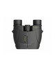 Leupold BX-1 Rogue 10x25