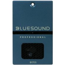 Bluesound Professional B170S
