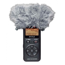 Tascam WS-11