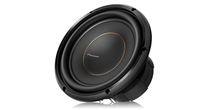 Pioneer TS-D10D4