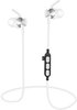 Platinet PM1060