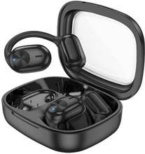 Borofone BW42