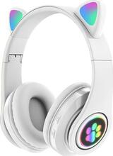 Apte ZS7E