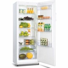 Snaigė C31SM-T1002E1