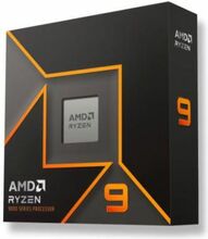 AMD Ryzen 9 9900X