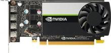 HP T1000 8GB DDR6