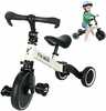 Kolmerattaline jalgratas Baby Mix Trike Fix Mini 3in1, valge
