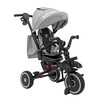 Kolmerattaline jalgratas RAMIZ RIDER hall SPORTRIKE