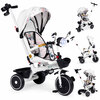 Kolmerattaline jalgratas EcoToys WQL-186, valge