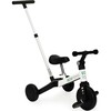 Kolmerattaline jooksuratas Ecotoys 2in1, valge/must