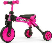 Kolmerattaline jalgratas Milly Mally Grande 2in1, roosa