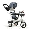 Kolmerattaline jalgratas Ecotoys 3-Wheel Bike MSP1797, hall