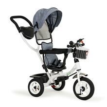 Kolmerattaline jalgratas Ecotoys 3-Wheel Bike MSP1797, hall