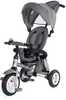 Kolmerattaline jalgratas Lorelli Moovo Air, Grey Luxe