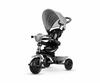 Kolmerattaline jalgratas Qplay Cosy, hall