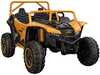 Akuga bagira Lean Cars Arctic Cat Wildcat XX 24V14AH, kuldne