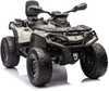 Laste elektriline ATV Lean Cars Can Am Outlander 4x4 DK-CA005, hall