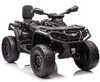 Laste elektriline ATV Lean Cars Can Am Outlander 4x4 DK-CA005, must