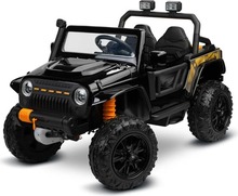 Kahekohaline laste elektriauto Toyz Ringo, must