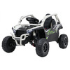 Elektriline bagiauto Ramiz Kawasaki TERYX KRX1000, hall
