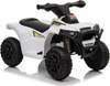 Laste elektriline ATV Lean Toys XH116, valge