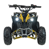 Bensiinimootoriga laste ATV Ramiz Renegade HighPer 110CC, kollane